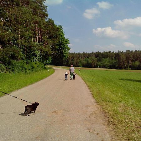 Landhotel Goldener Stern Trautskirchen Zewnętrze zdjęcie
